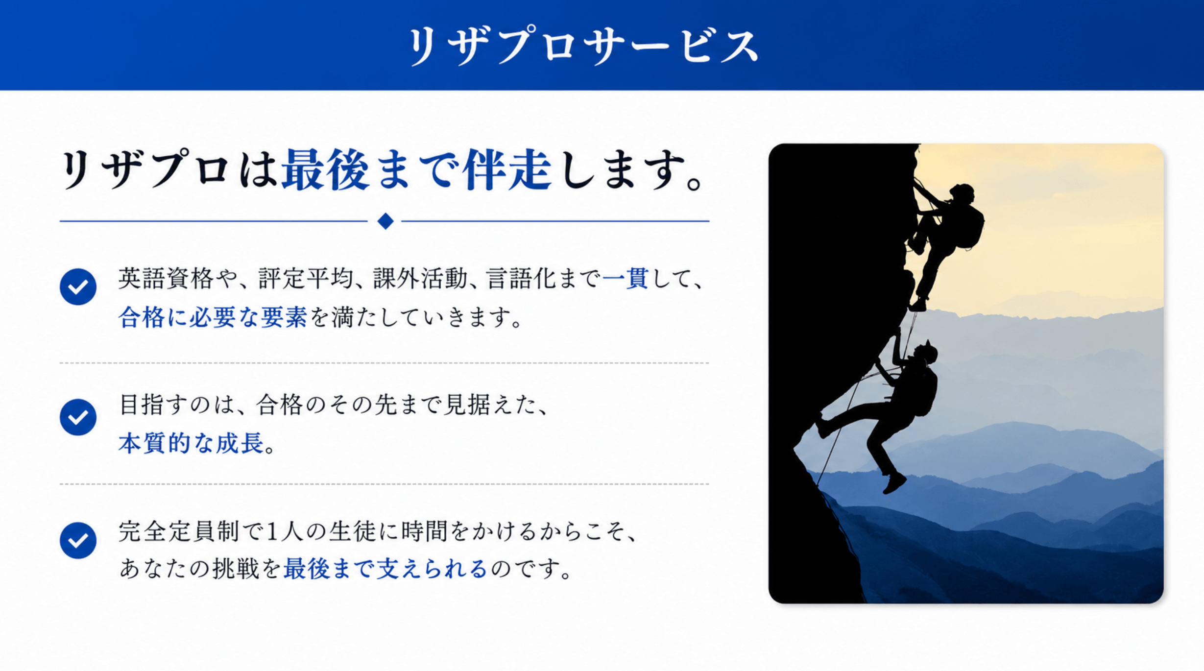 リザプロの特徴